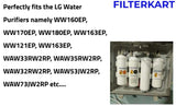 Aquadyne's Sediment Filter for LG Water Purifier
